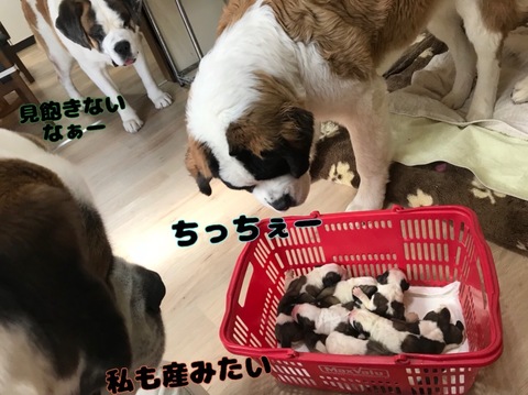 BFF68C2C-43AB-448A-B213-E839D3DE08A8.jpeg