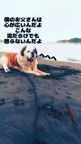 CE894A18-9FD6-4A33-A50A-B12907202A4B.jpeg