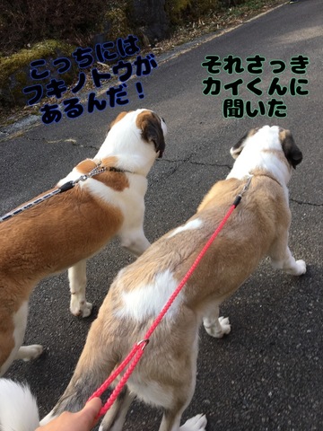 DD42A8C7-2802-49A2-BEF6-3CEC9AFA769D.jpeg