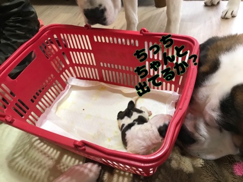 E0903112-F0DC-425C-8F8F-984DE705FB6B.jpeg