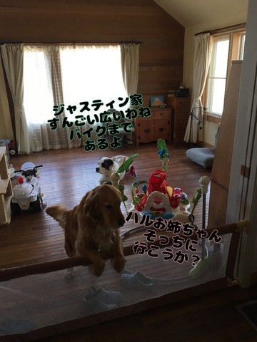 E1394818-328F-4C60-9174-92760DEDAF7C.jpeg