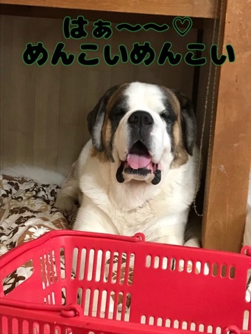 E1AD1A08-5917-4B5D-8B5A-1EDB7BF4F72C.jpeg