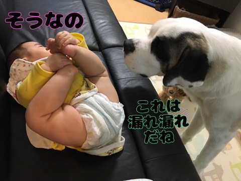 E1B84D28-36E8-4D08-A12E-60631A5AB8F8.jpeg