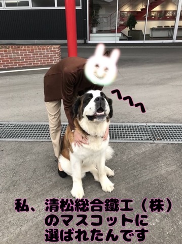 E274FED1-A4D5-4D72-9AC2-C792A623229F.jpeg
