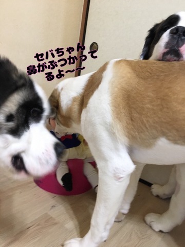 E508EFB3-57C2-4C03-97D6-1723DF708062.jpeg