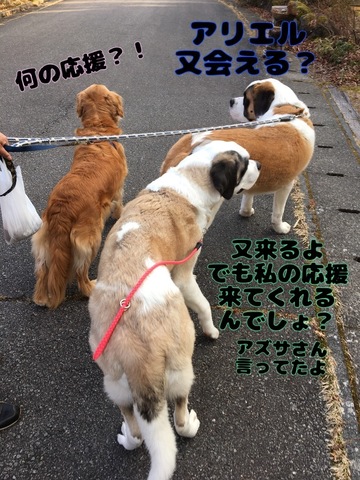 E60FF3CE-27BA-4260-98F9-9EDE9C47FFAF.jpeg