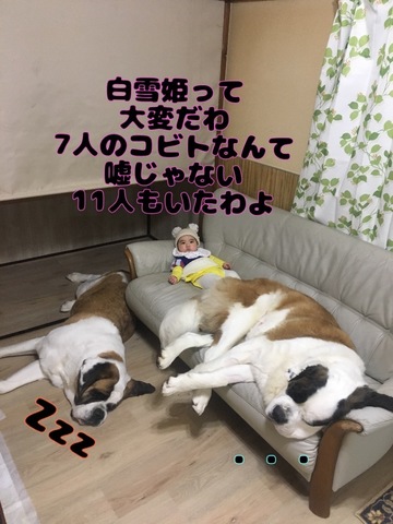 EB11236B-2E19-4EF8-81A7-EDDA55ED1EAA.jpeg