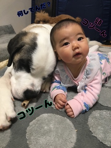 EEF312AC-A46F-4FB0-88B3-ED978F210F17.jpeg