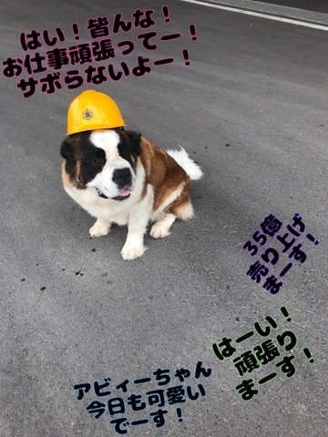F07980E5-1B3B-41E2-B31A-429485ED8E9C.jpeg