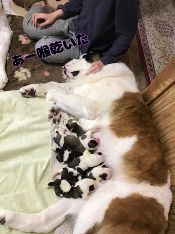 F1D6ED99-E901-477D-82BE-A3F10BCFDA7D.jpeg