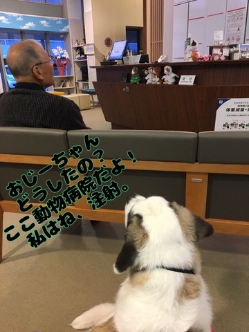 F83B1D3D-2777-4CC5-9280-6131CBD819E4.jpeg