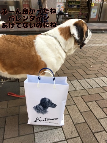 F9F10AE7-FE5D-41AD-96EF-877437BD741D.jpeg