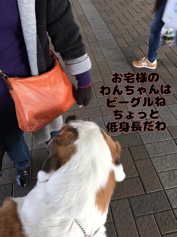 FA949CA7-2FE9-4EC6-A27F-69230030AB4A.jpeg