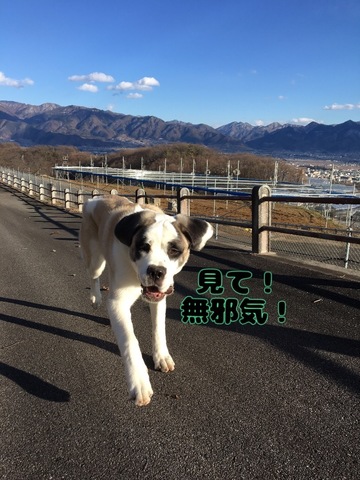 FB5110CD-59FA-4222-859C-C23E39F16659.jpeg
