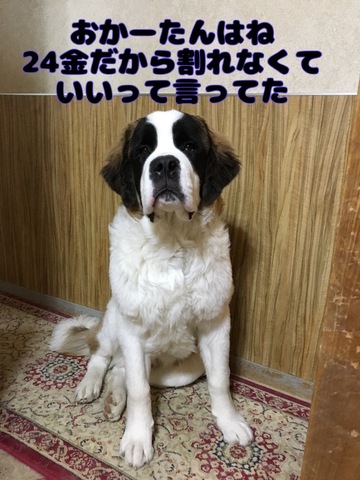 FC4E86C2-C6ED-44AC-A8EC-E8B16AD6D90C.jpeg