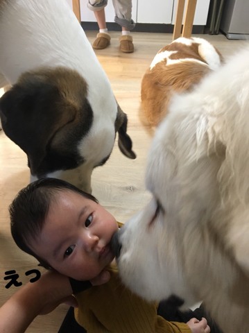 S__185884674.jpg