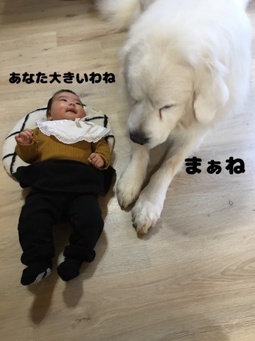 S__185884675.jpg