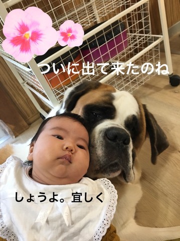 S__185884676.jpg