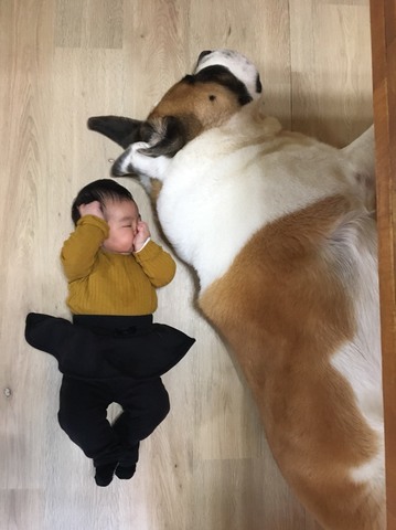 S__185892866.jpg